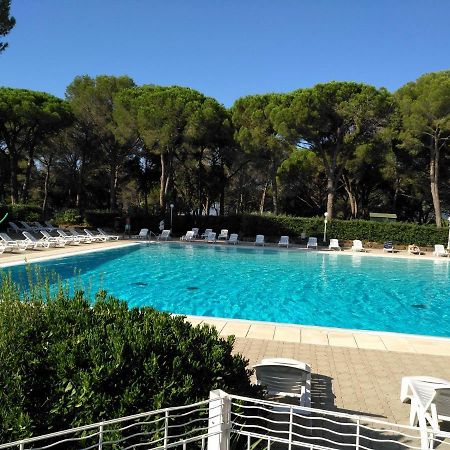 Studio St Raphael Var Cote D Azur Saint-Raphaël Eksteriør bilde